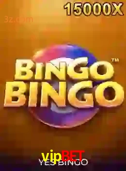 bingobingo